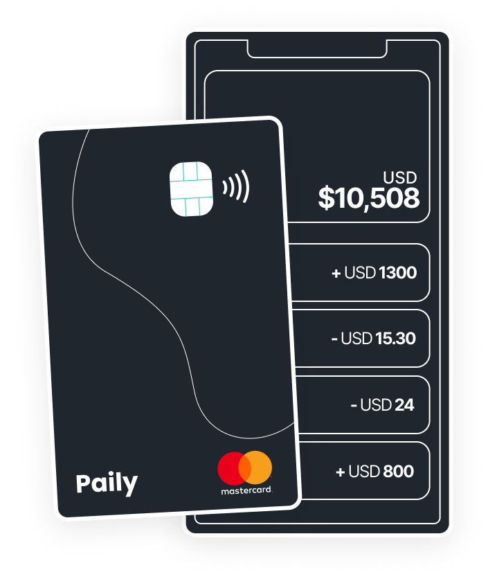 Paily Card